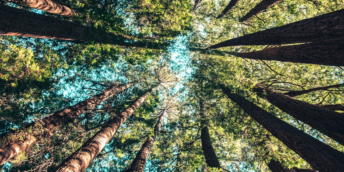 Burton upon Trent Hotels with Free Cancellation