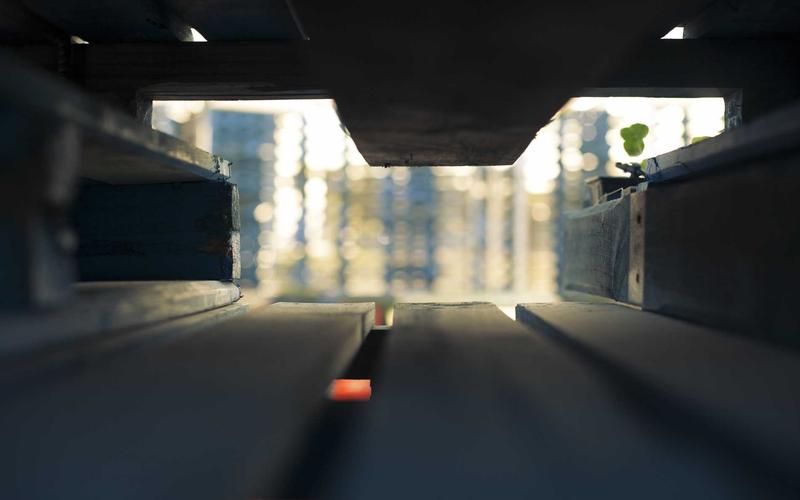 Claymills Victorian Pumping Station: Heritage Visit