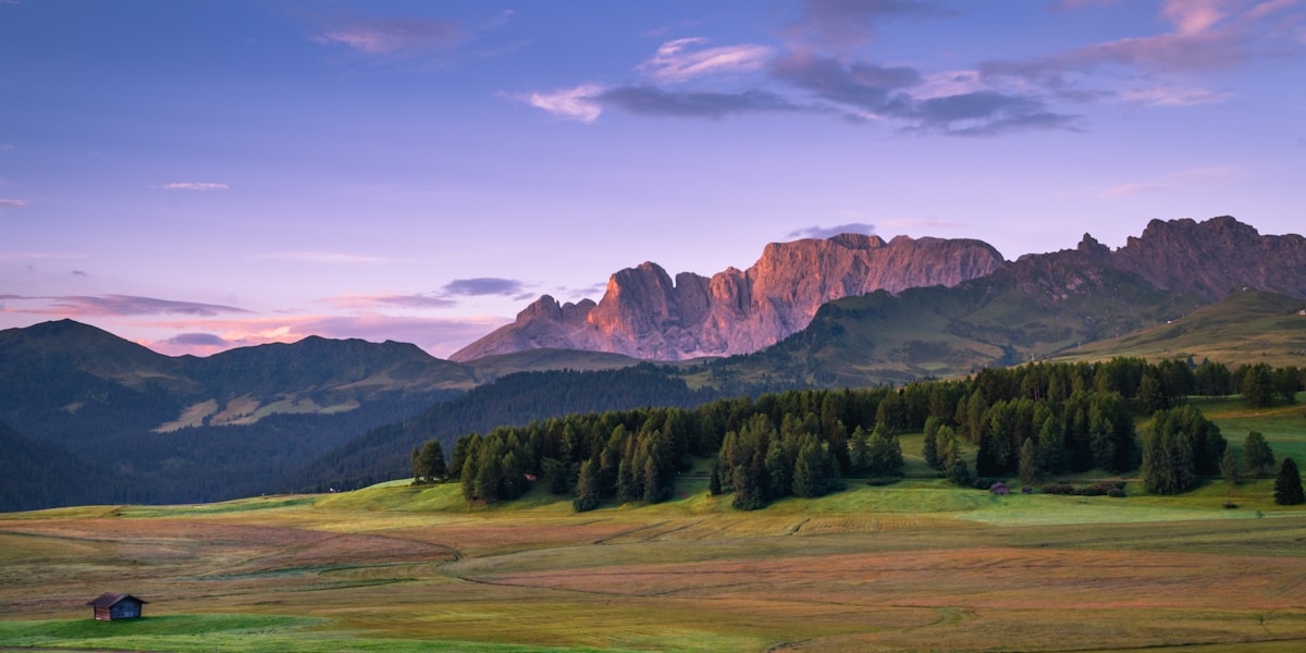 Alton Towers Valentine's Weekends